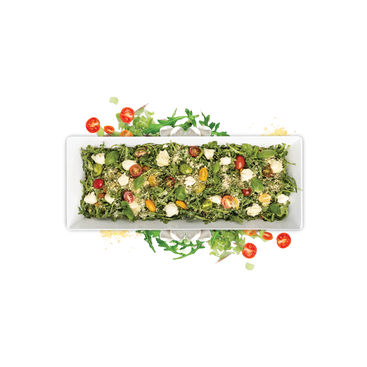 Bocconcini Salad