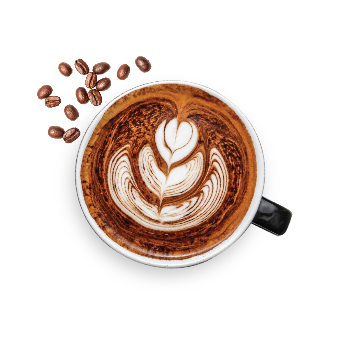 Cappucino